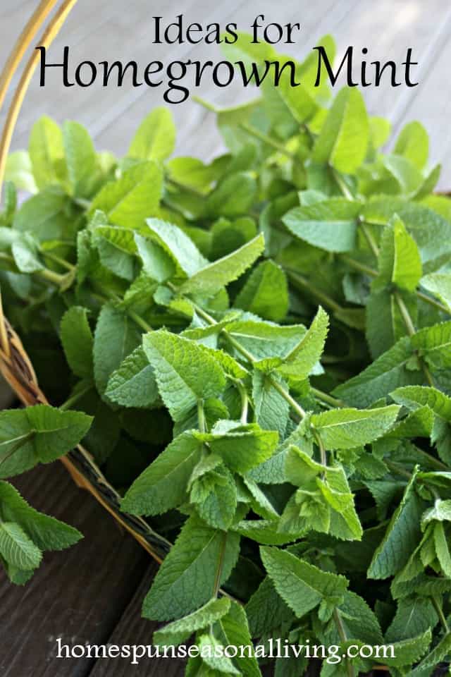 Homegrown mint stems in a basket.