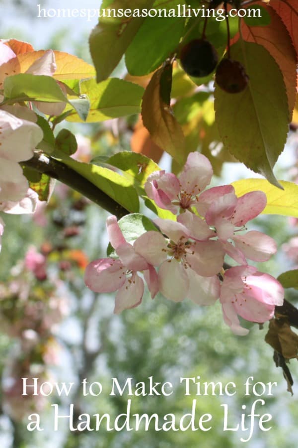 Crabapple blossoms