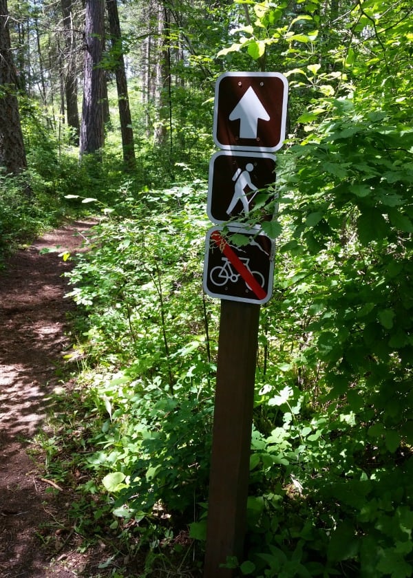 A trail marker in the woods.