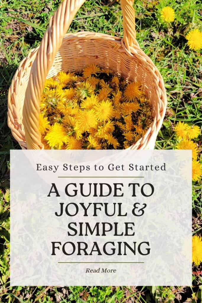 A small basket containing dandelion flowers sits in the grass with more dandelions growing. A text overlay reads: Easy tips to get started - A Guide to Joyful & Simple Foraging.