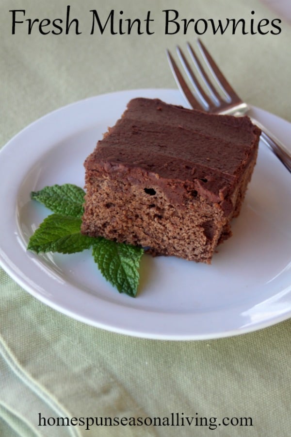 A frosted fresh mint brownie on a plate.