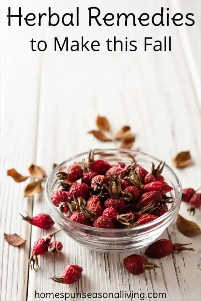 A bowl of dried rose hips.