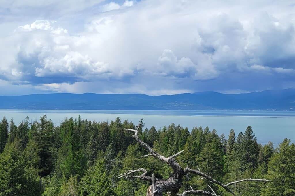 A view of a big lake with evergreen trees in the foreground. Behind the lake in the distance are mountains and cloudy skies above.