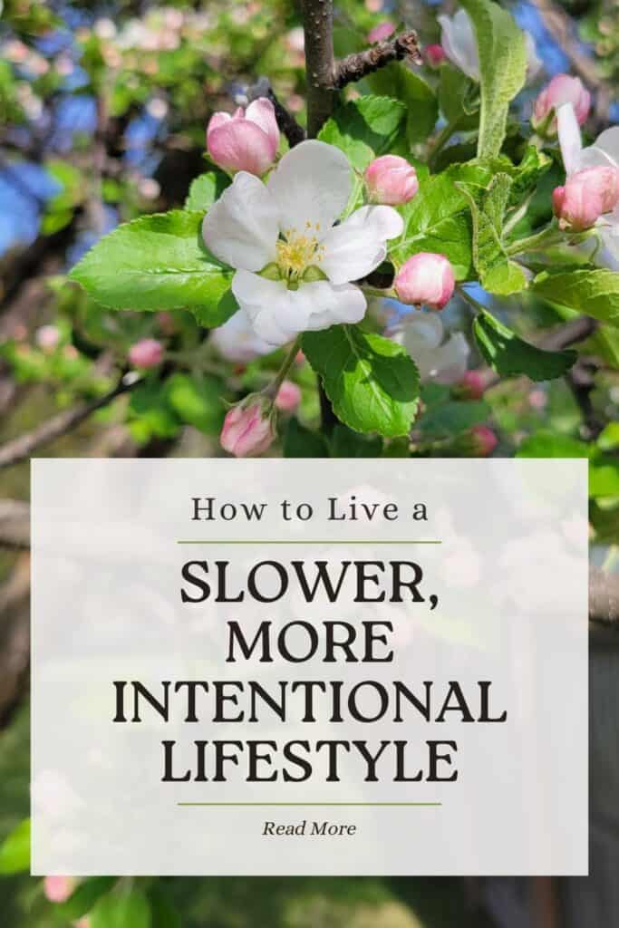 An apple tree in bloom is behind a text overlay box that reads: How to Live a Slower, More Intentional Lifestyle. 