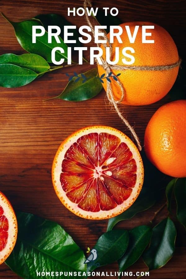 An orange sliced open surrounded by whole oranges and green leaves with text overlay stating: how to preserve citrus.