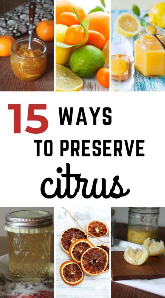 A variety of citrus photos and jams in jars with text overlay stating: 15 ways to preserve citrus.