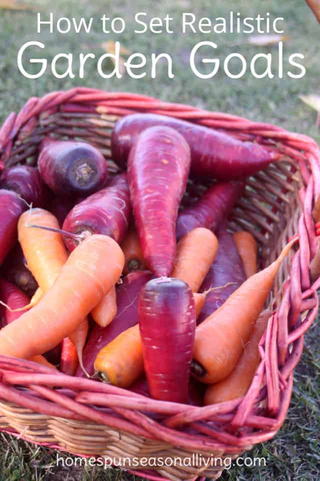 A basket of multi-colored carrots.