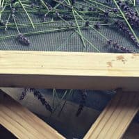 Make an Herb and Flower Drying Screen