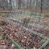 Make a Homemade Garden Trellis