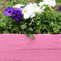 DIY Pallet Planter Box