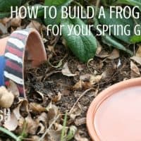 Build a Frog Habitat