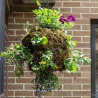 Hanging Globe Planter