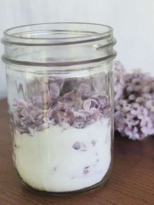 How to Make Lilac Sugar Story