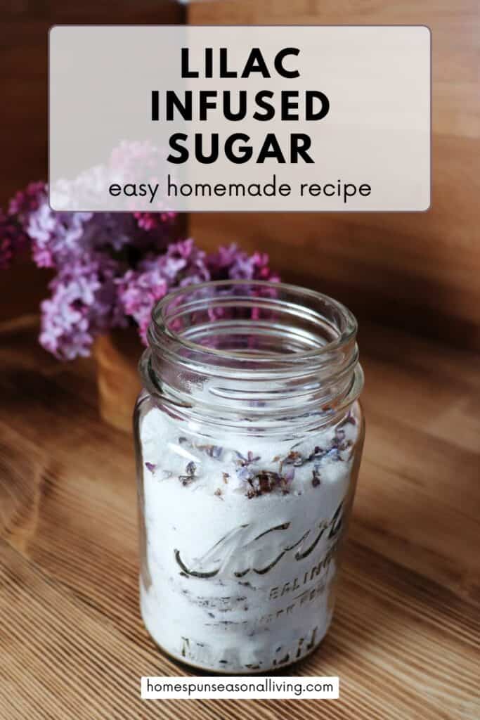 A jar full of sugar and dried lilac blossoms sits on a counter, with fresh lilac blossoms in a vase behind it. Text overlay reads: Lilac Infused Sugar - easy homemade recipe.