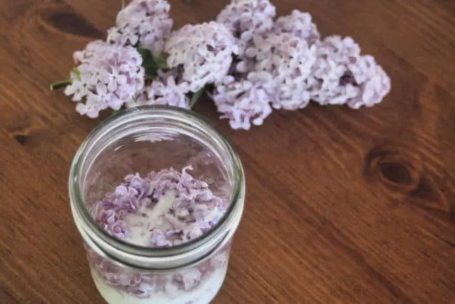 A jar of sugar and lilac blossoms sitting on a table.