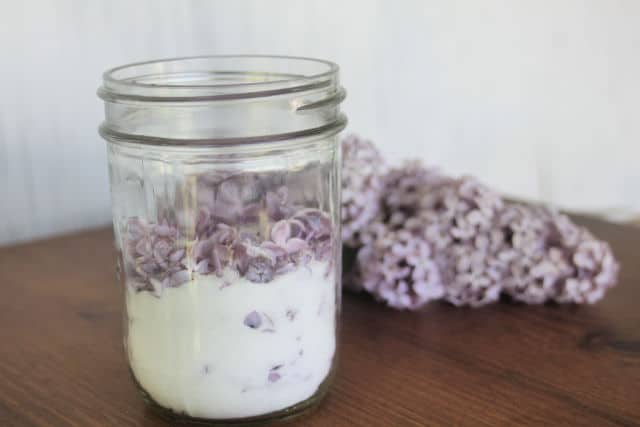 A jar of sugar and lilac blossoms sitting on a table.