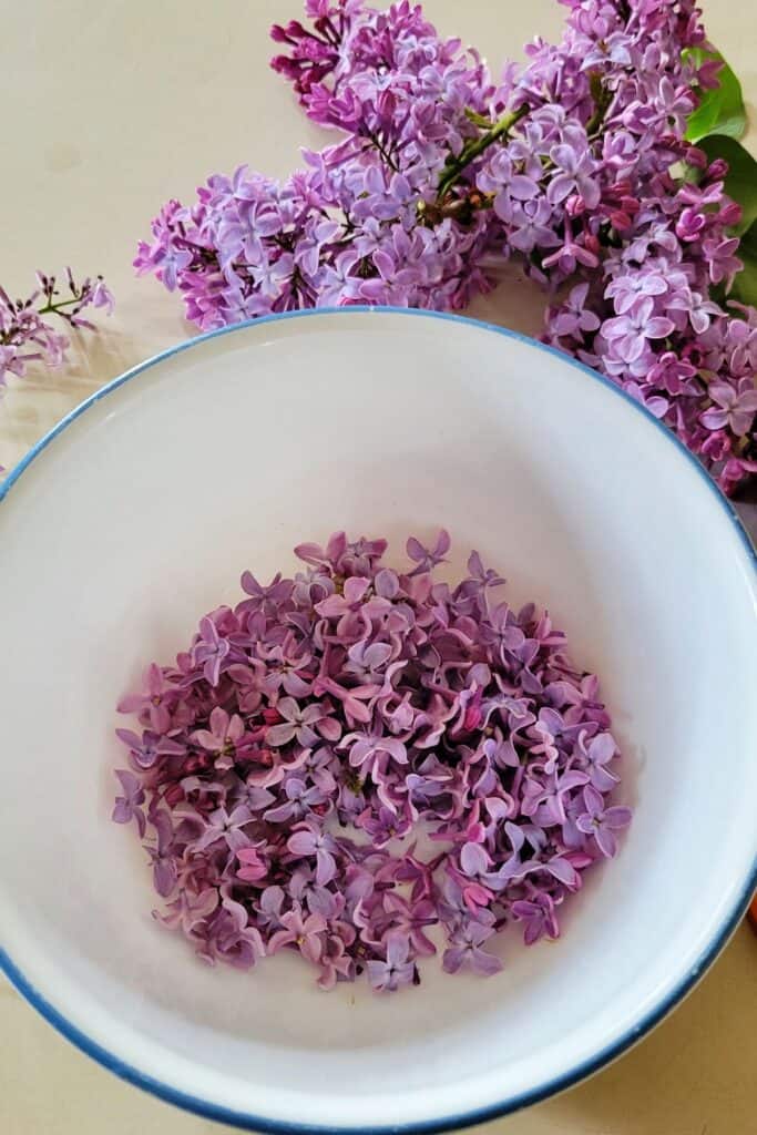 A white bowl containing purple lilac flowers is seen from above. Next to the bowl is more stems of lilacs.
