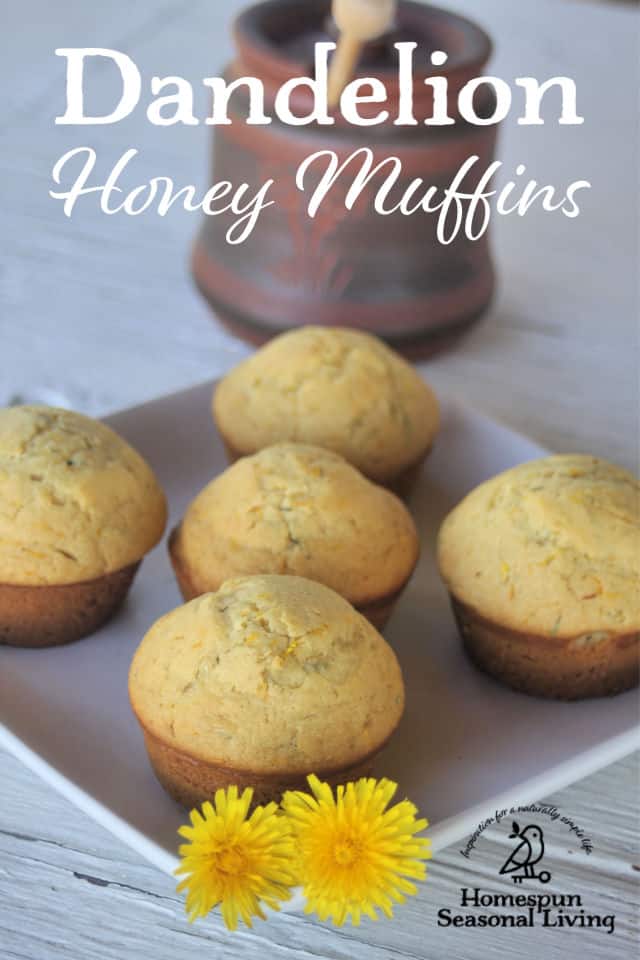 Dandelion muffins on a plate decorated with fresh dandelion flowers. 