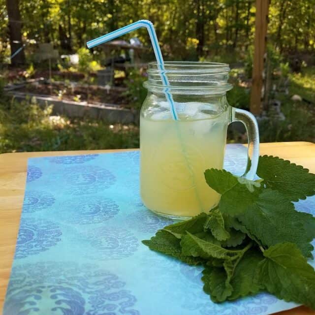 Lemon Balm Recipes Homespun Seasonal Living