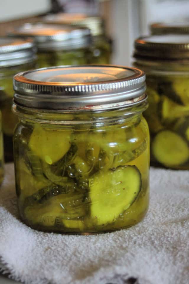 Jars of bread and butter pickles cooling on a towel after being canned.