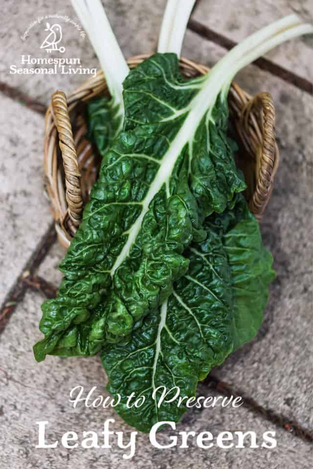 A basket of beet greens with text overlay.