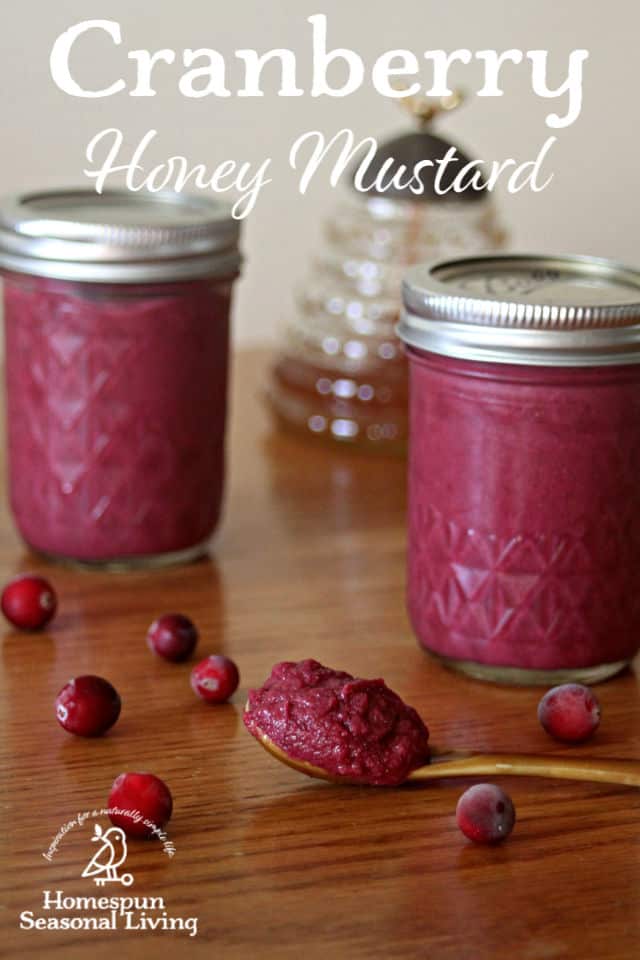 Cranberry honey mustard mounded on a spoon with jars of canned mustard behind it on a table. 