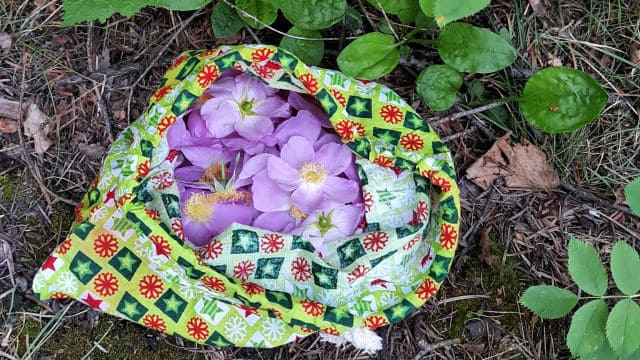 Wild roses in a cloth drawstring bag on the forest floor.