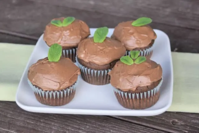 Mint chocolate cupcakes on a platter on top of a green runner.