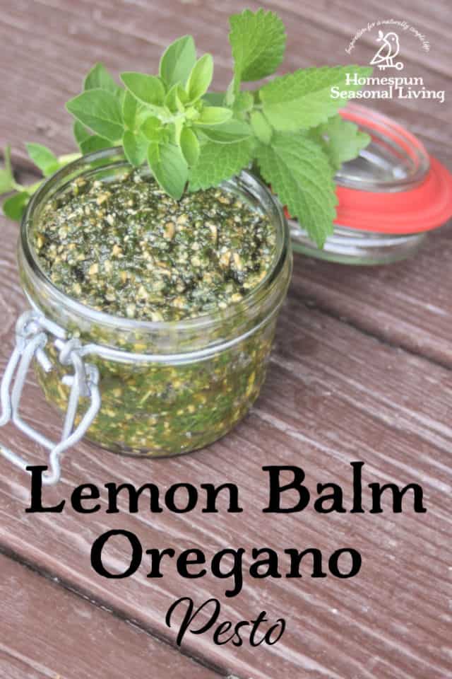 Lemon balm oregano pesto in an open jar with fresh herbs and text overlay.