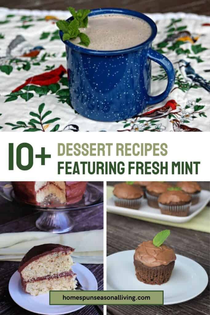 A collage of images - with a cup of hot chocolate on a placement on top of a text overlay box reading: 10+ dessert recipes featuring fresh mint. Under the text box is 2 images - the left image is a piece of cake with chocolate frosting. the right image is a chocolate cupcake with chocolate frosting. 