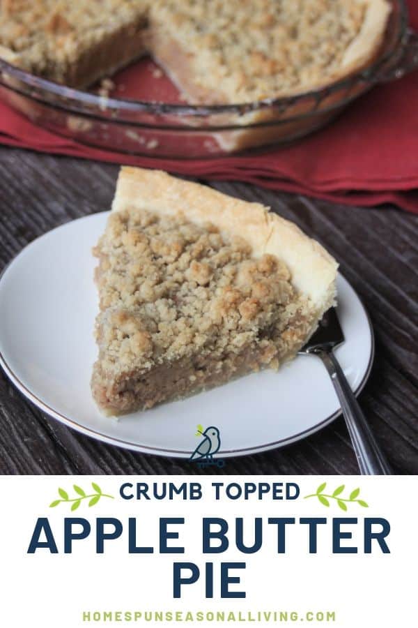 Slice of crumb topped apple butter pie on a plate with a fork and text overlay.