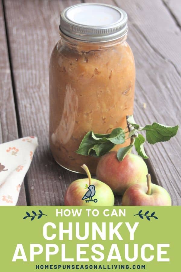 A jar of chunky applesauce on a dark table with fresh apples and a napkin. Includes text overlay