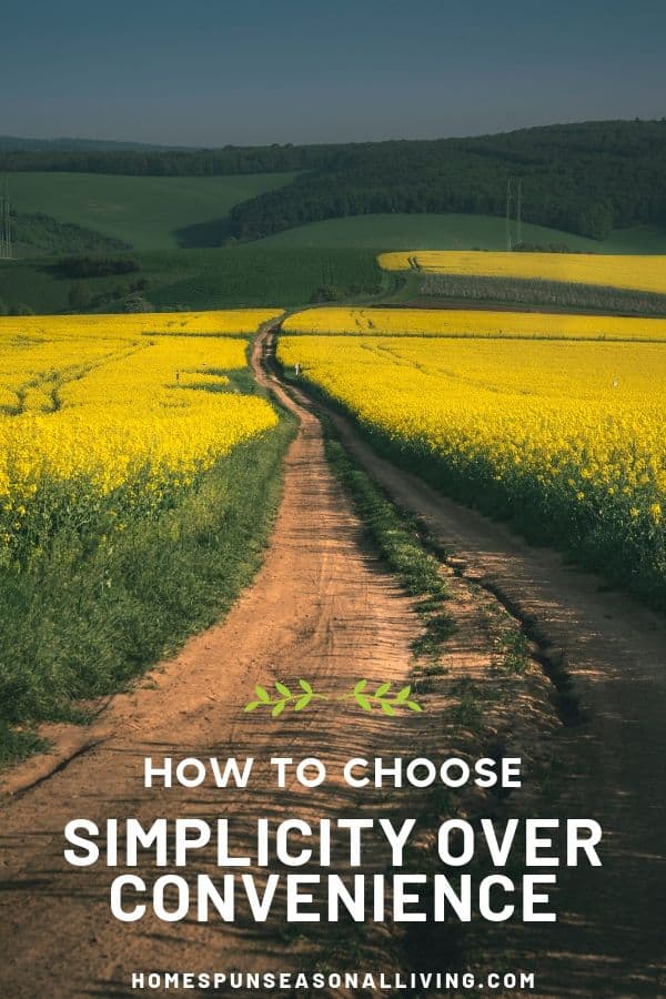 Dirt road through field of yellow flowers with text overlay