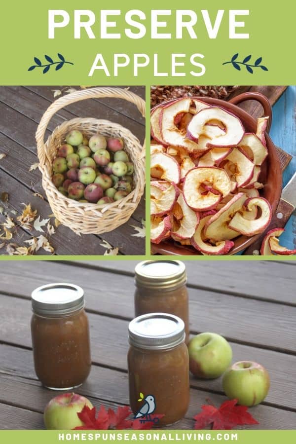 A collage of photos that include a basket of fresh apples, dried apple rings, and jars of maple apple butter with text overlay.