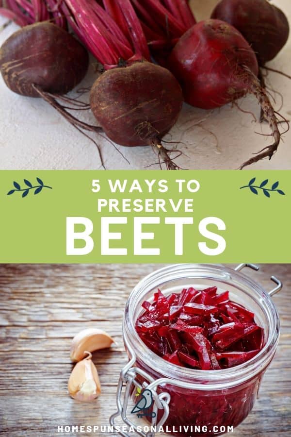 5 Ways to Preserve Beets Homespun Seasonal Living