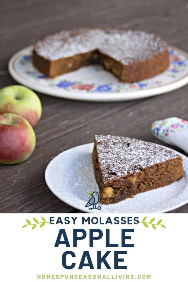 A slice of apple molasses cake dusted with powdered sugar on a plate sitting in front of the rest of the cake with a napkin and fresh apples. 