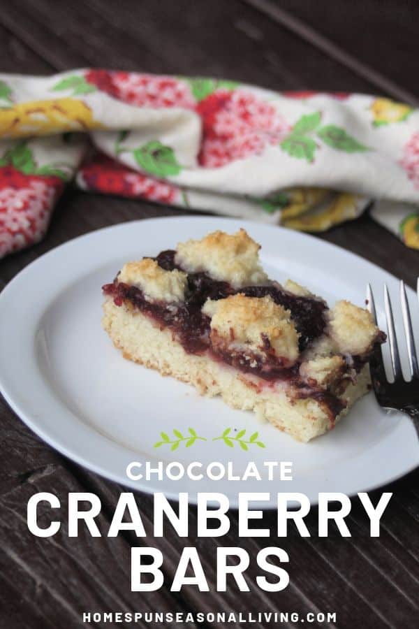 A chocolate cranberry bar on a white plate with a fork and napkin includes text overlay.