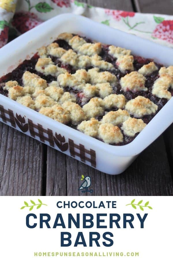 Chocolate cranberry bars in a white baking pan on a table with a napkin with text overlay.