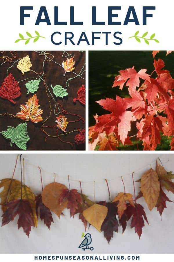 A collage of photos depicting fall leaves, a fall leaf garland, and knitted fall leaves with text overlay.