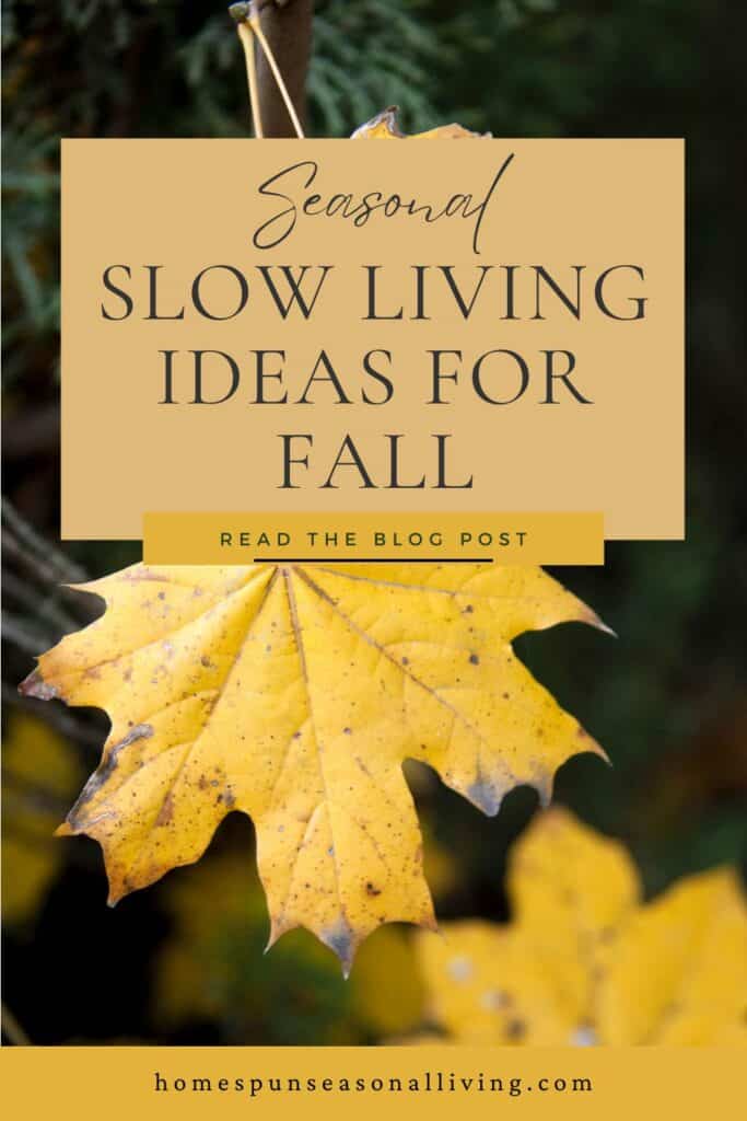 Yellow leaves with brown spots hang from a tree branch. Text overlay reads: Seasonal, slow living ideas for fall. 