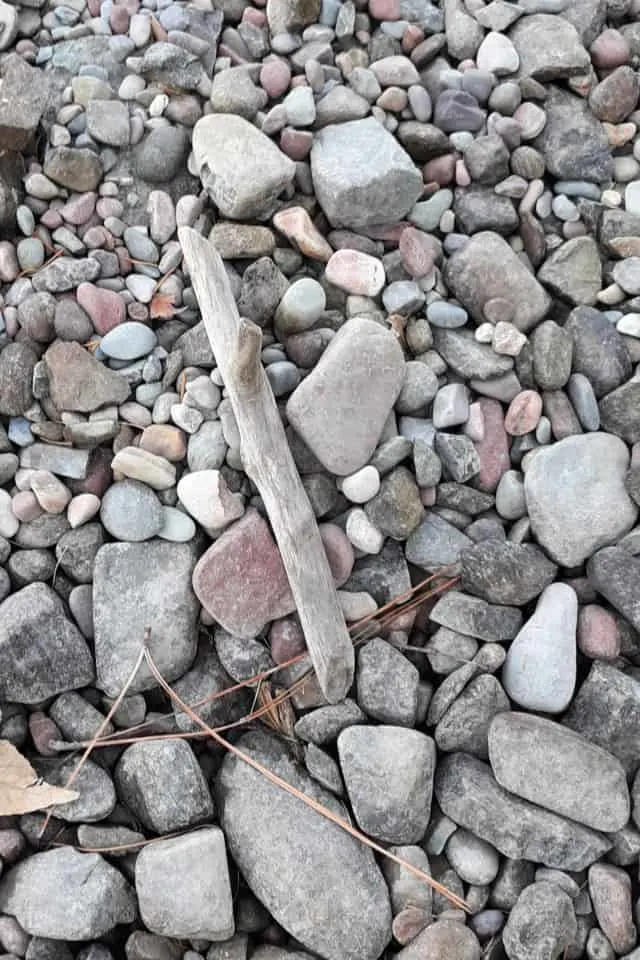 A piece of driftwood on a rocky beach.