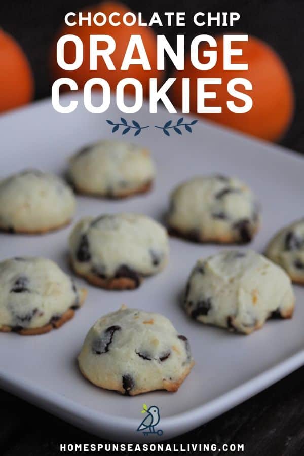 Orange chocolate chip cookies on a plate with text overlay.