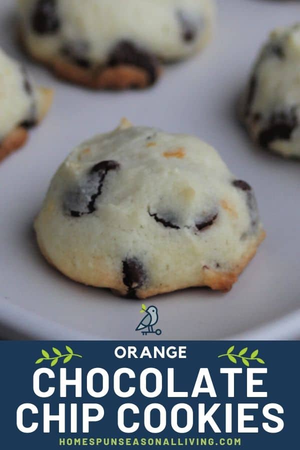 Close-up of an orange chocolate chip cookie on a plate with text overlay.