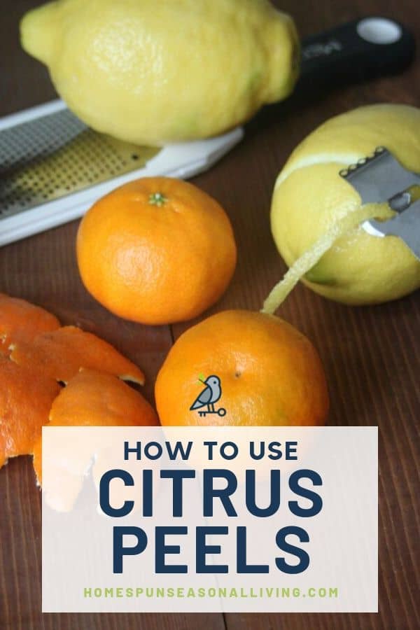 The RIGHT WAY to use a citrus peeler to peel an orange 