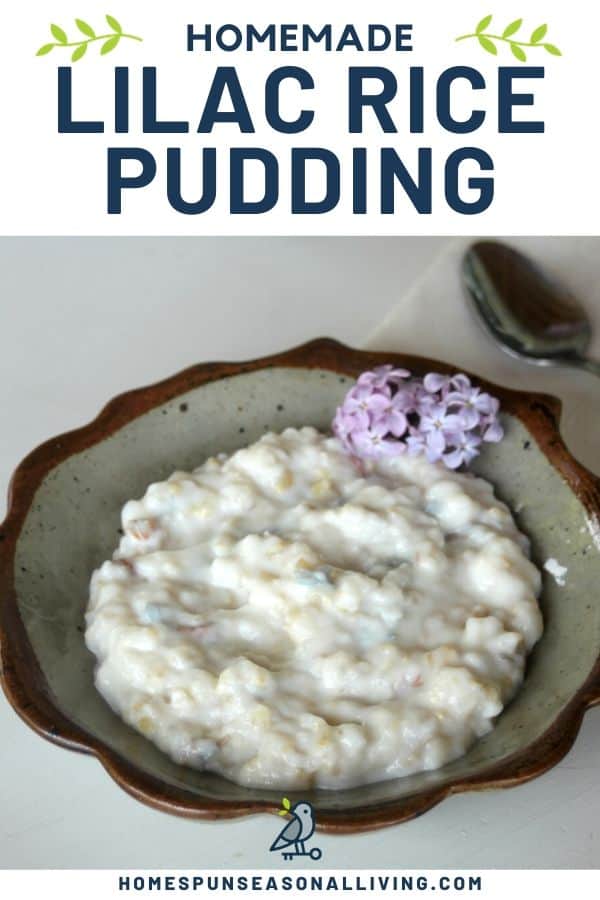 A bowl of lilac rice pudding with a spoon and text overlay.
