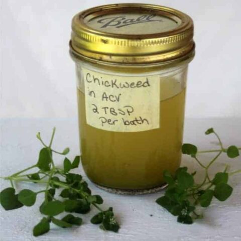 A labeled jar of chickweed bath vinegar on a white table surrounded by stems of fresh chickweed.