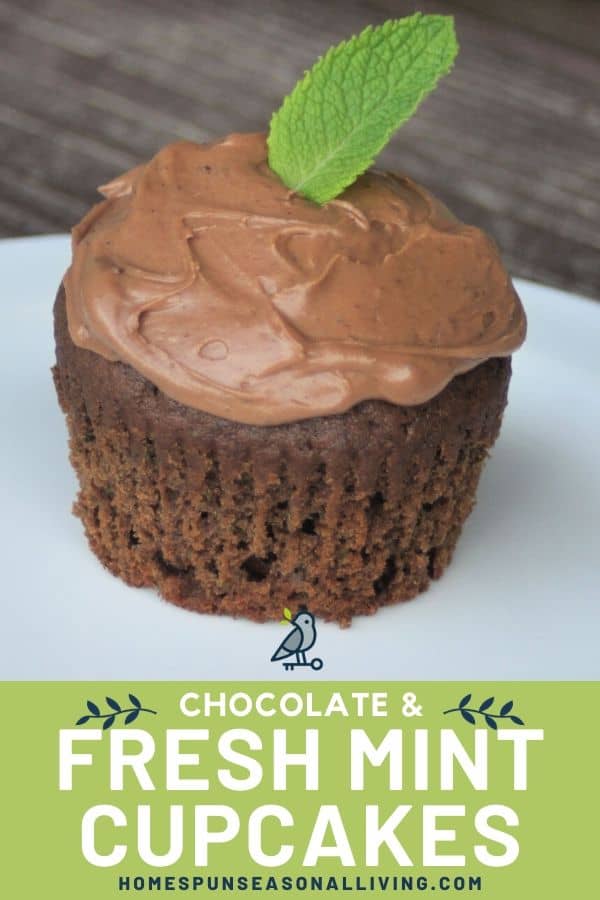 A frosted mint chocolate cupcake on a white plate with text overlay.