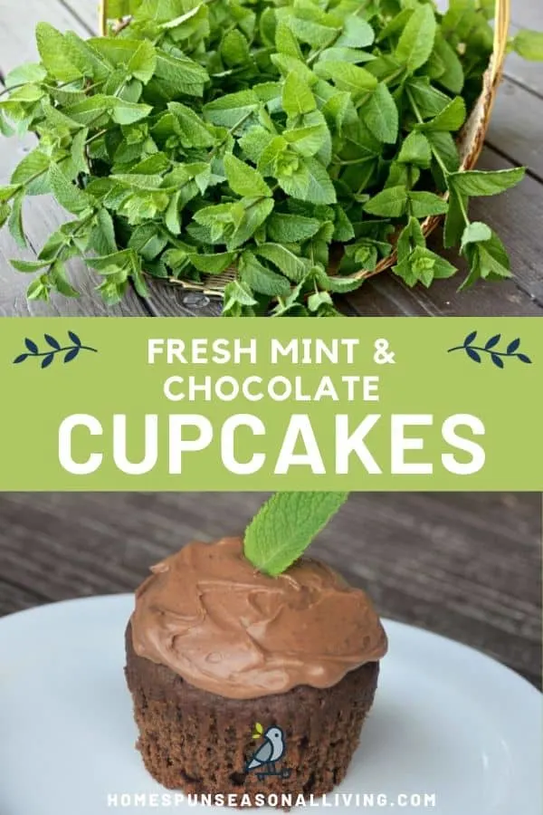 A collage of stacked photos with a basket of freshly harvested mint on top, text overlay in the middle, and a chocolate mint cupcake on the bottom.