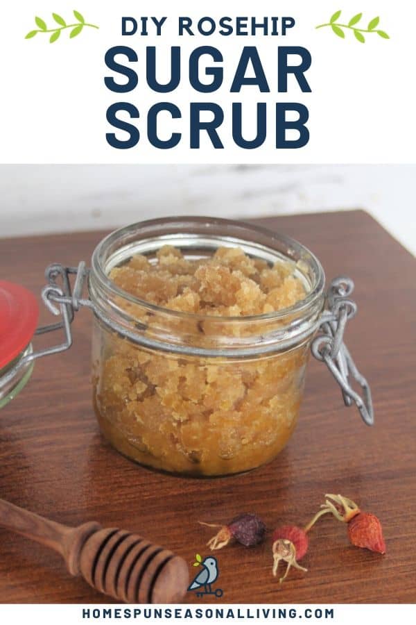 An open jar of rosehip sugar scrub on a table with honey dipper and dried rosehips with text overlay.