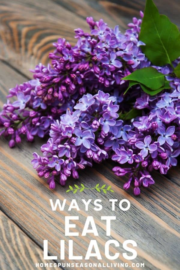 Lilac branches on a wooden table with text overlay.